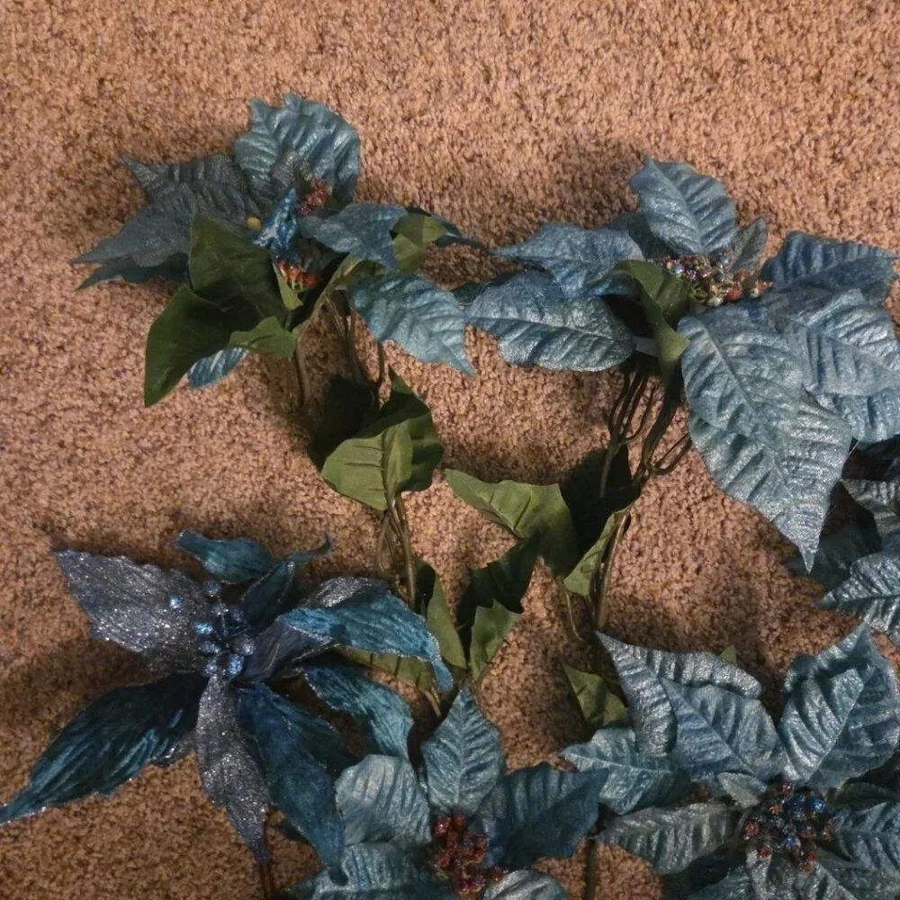 Unbranded 12 teal